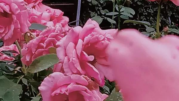 实在伊春9m5谭世文