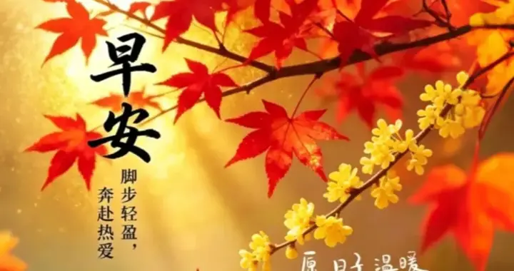 今日最新早安祝福语图片，愿你身康体健，心宽福厚