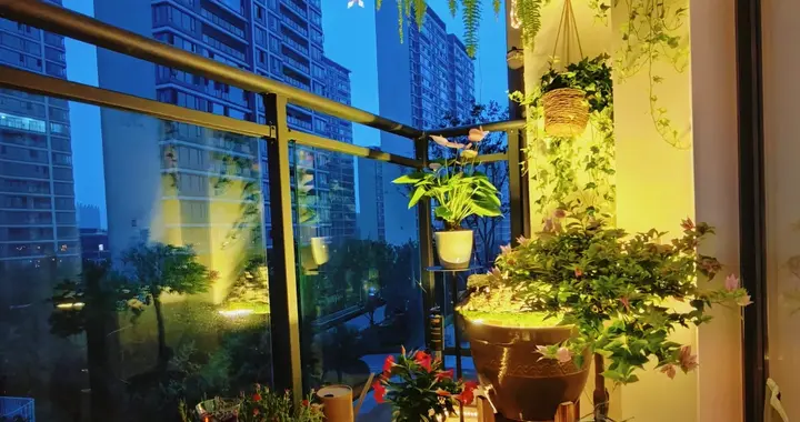 阳台布置好，我的心就踏实了