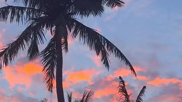 森林听鸟语的雅客：真正的强大，从来都不是