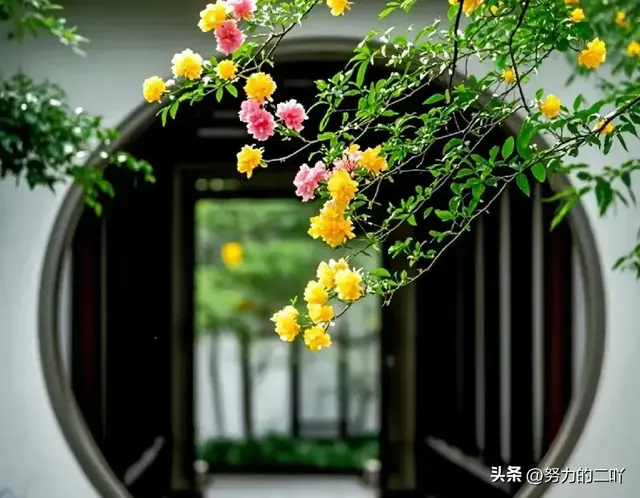 老人临终别瞎折腾 体面的离开 是老人最好的落幕