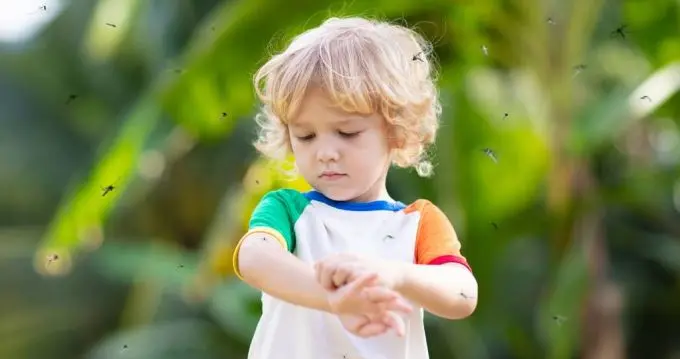 春季过敏24小时防护表：这3个时间点做错，花粉全进肺里