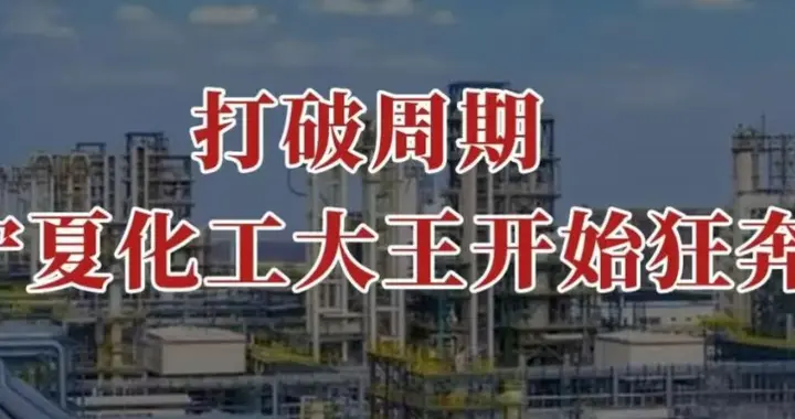打破周期，宁夏化工大王，开始狂奔！