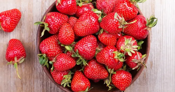 草莓能抗癌? 研究发现草莓的非瑟酮能解除免疫抑制, 为免疫治疗增效