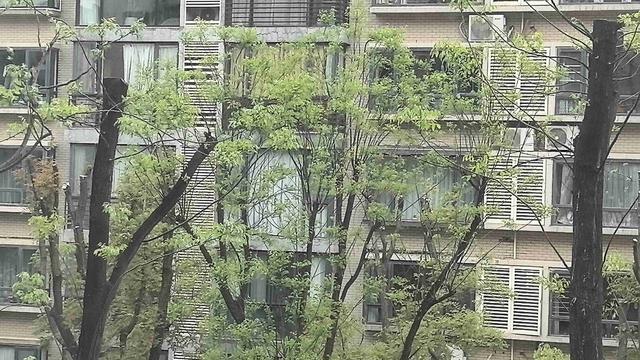 美观体育：我的今日