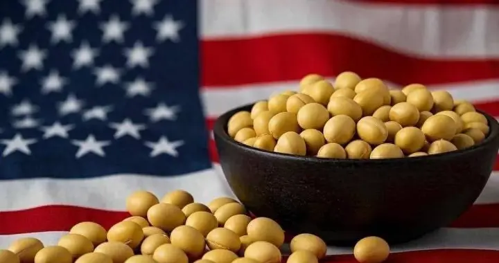 中美大豆交易尘埃落定，美国松了关键政策，背后的代价显而易见。
