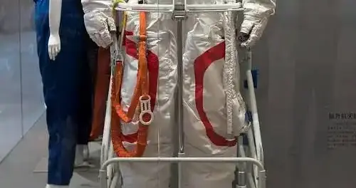 神二十带归“功勋战袍”11位航天员的太空“生死战友”！