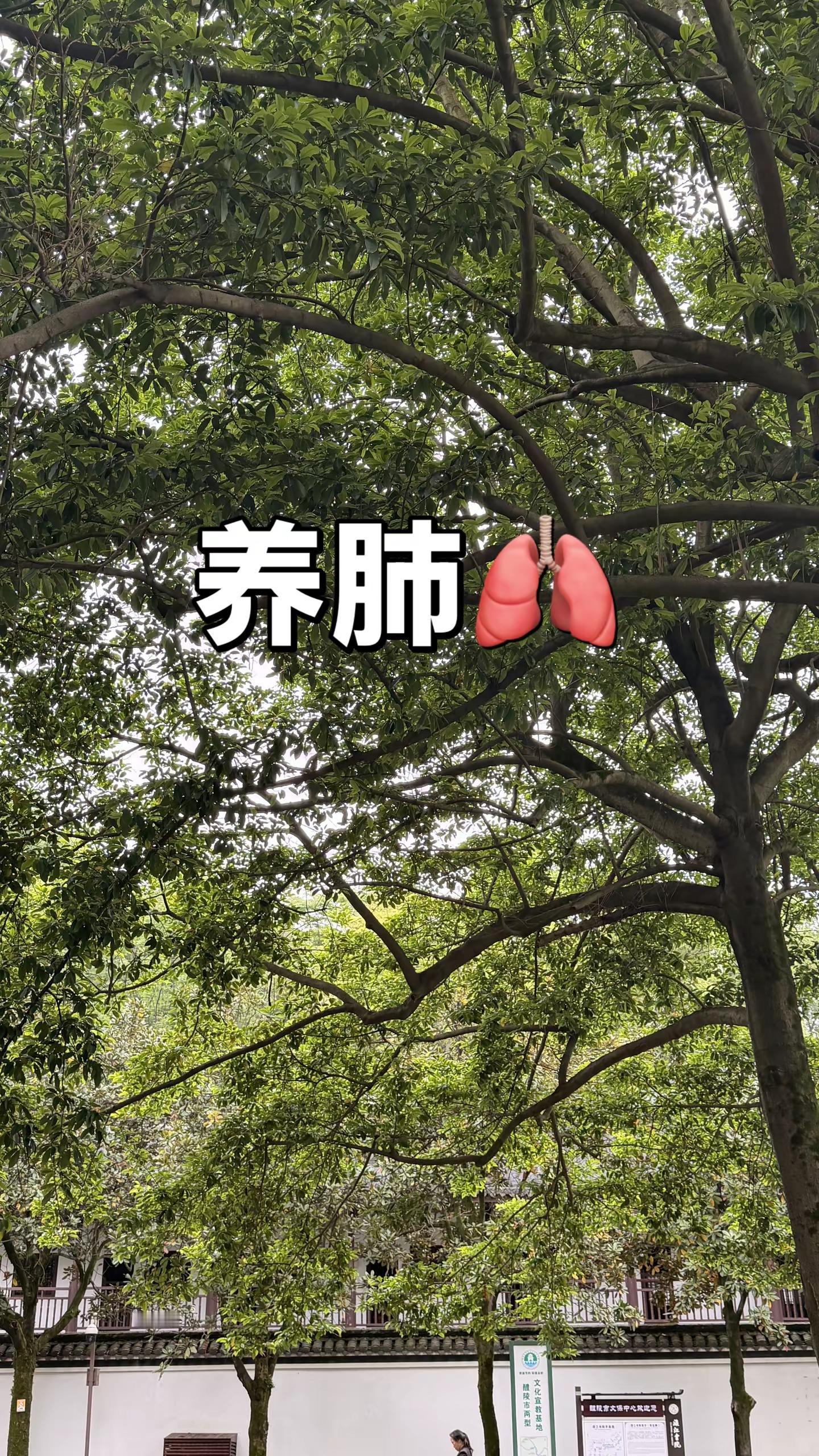 吴宜泽打出单杆85分，最终以18比17战胜墨菲，斩获个人首个世锦赛冠军