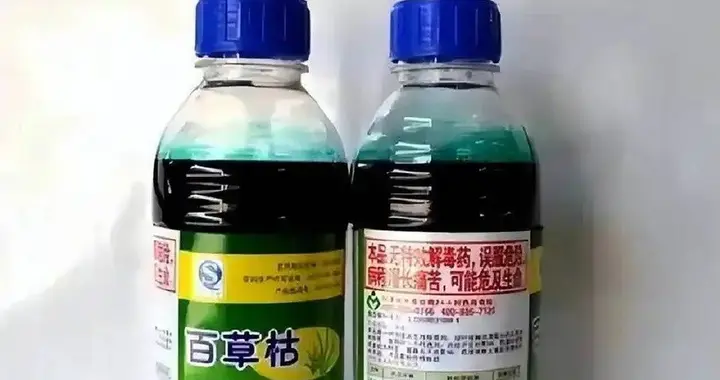 百草枯发明人李德军：我明白它没有解药，但没想到会有人主动喝