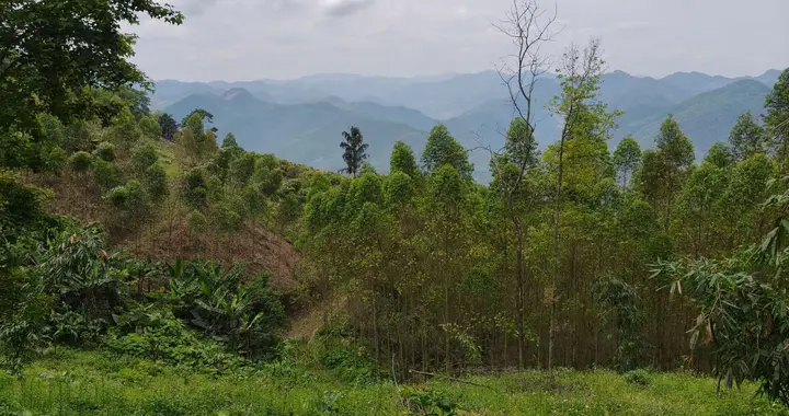 过了五十岁悟透三件事，简单过日子就是福气