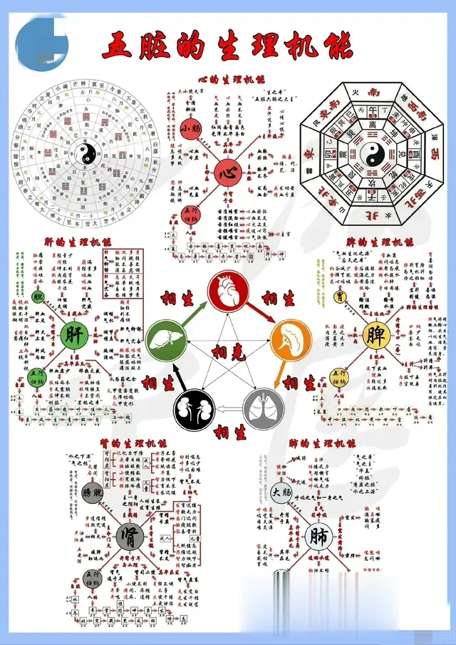 中医入门知识:五脏的生理机能思维导图 ?