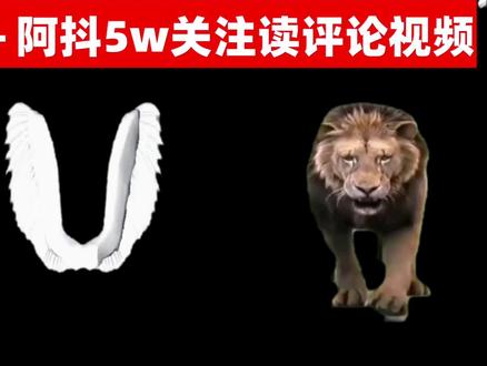 【萧铈】40w关注读评论视频~