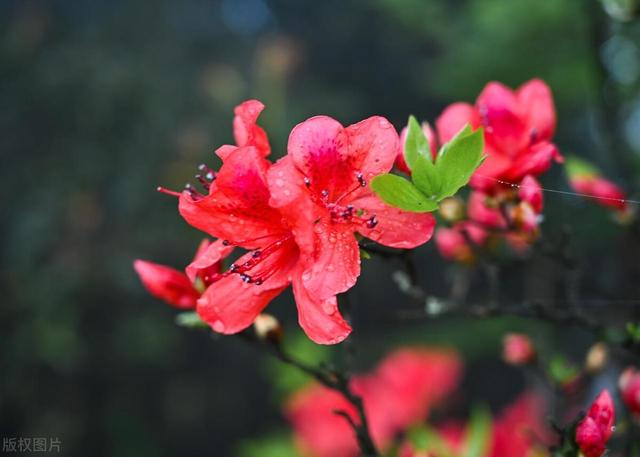 婆婆：取消AA制，你来医院照顾我，儿媳：没空，正跟我妈旅游呢