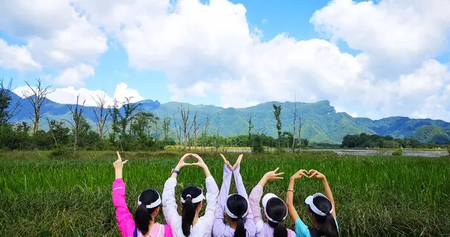 2026 暑假教育大变天：培训机构 "团灭"？3 岁以下，最高补 1000 元！