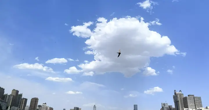椿庭六轶，步履如歌