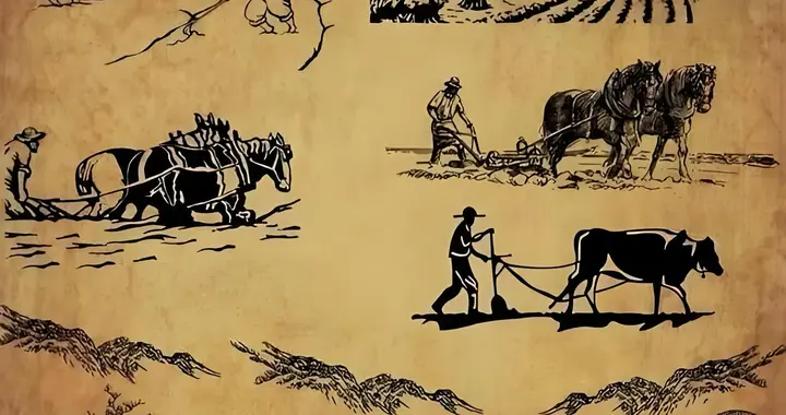 🔥古代中国农业逆袭密码：铁犁牛耕如何从春秋火到西汉？