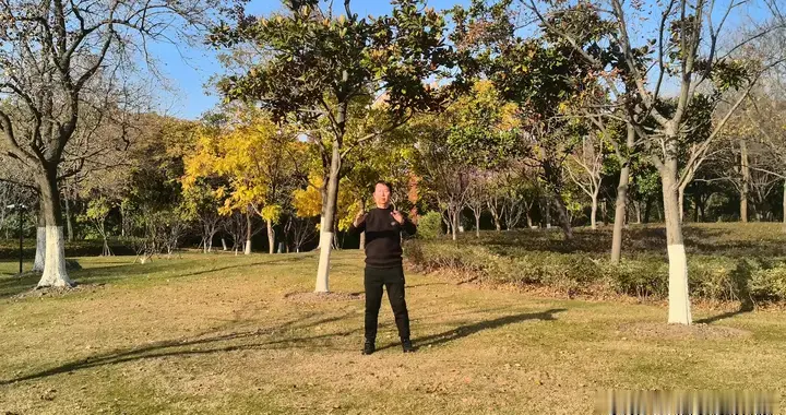 太极拳：身步合一，功夫了得！