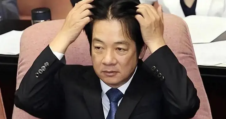 赖清德说的不算，他们才代表台湾人民利益，台湾代表的意见还得听