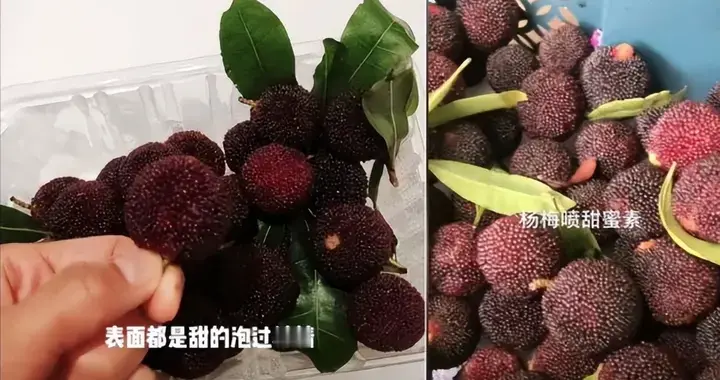 杨梅的“科技与狠活”：8000倍甜度的伪装！商贩表示“自己不吃”