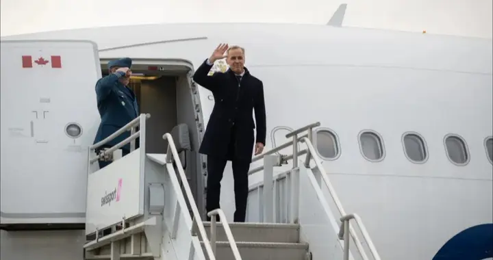 被做局？中方刚买6万吨油菜籽，电车就遭针对，加总理没管住手下