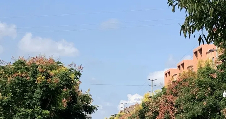 总裁前夫跪求复合——你伤我多深我就甩你多远（4）