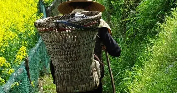 妈，对不起！我在这个家里很不自在，我要回养父母家里！