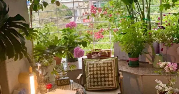 看了董宇辉的“私宅”，才明白什么是岁月静好