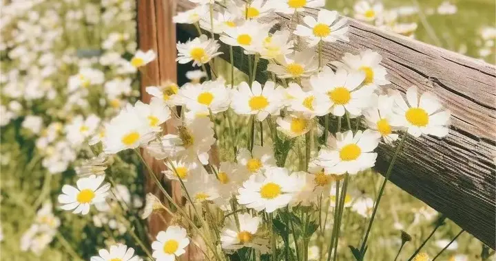 50岁以后，不管收入高低，都要避免这4个消费陷阱