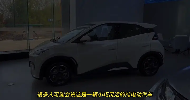 比亚迪出大名了，小小海鸥荣获《时代周刊》最佳发明