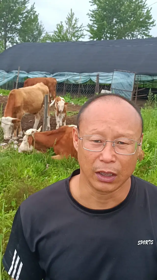 什么原因造成了如今的牛不值钱了？