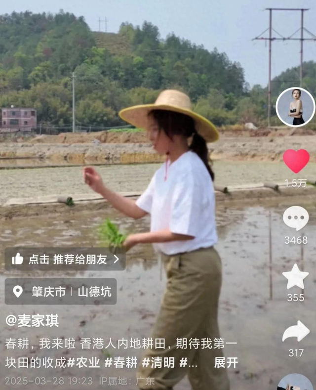 49岁港姐回内地农村种地！戴草帽光脚抛秧苗，5分地2小时完成劳作