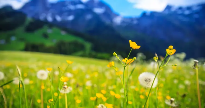 上班不开心，别只会用离职来解决问题