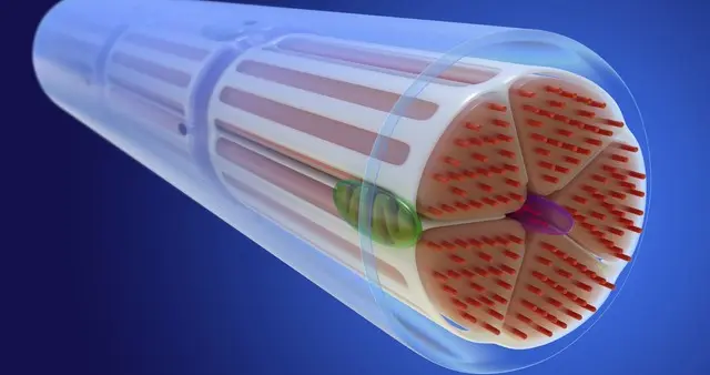通达信主导动能指标使用指南