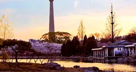 玉渊潭公园如何预约购票，手机、电脑均可预约，适合北京其他公园