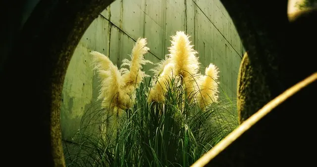 教师之光：“永远的男神！独一无二的灵魂！”