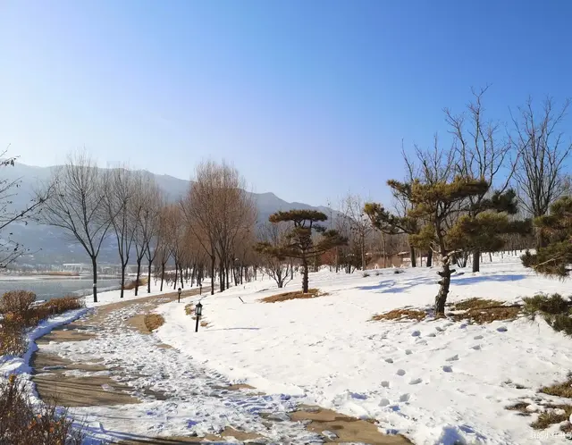 做好这两件事，才是练瑜伽的关键，越早明白越好！