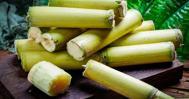 甘蔗正大量上市！研究发现：肺病患者吃甘蔗时，多注意这4点