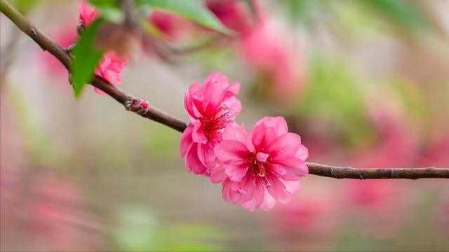 四月第一天，求个上上签，一切如你所愿，接好运吧