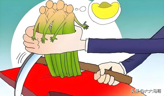 在设计院情愿被割韭菜的6种人