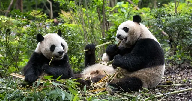 我这30岁全职妈，读《生万物》，在刷碗和麦田里，摸透了婚姻的暖