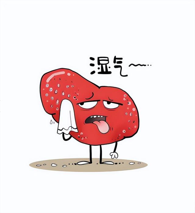 一个千年方，简单四味药，利湿、渗湿、燥湿，从头到脚祛湿气！