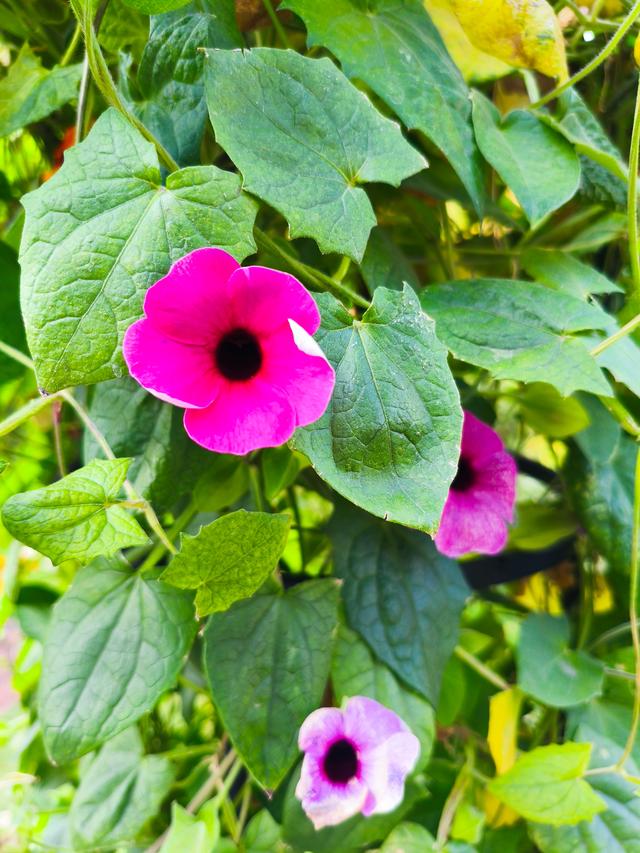 人生最爱的东西是什么？