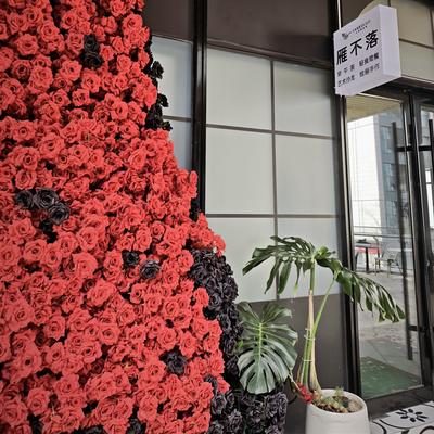 章鱼的无忧：今天邂逅了一家宝藏咖啡厅，很