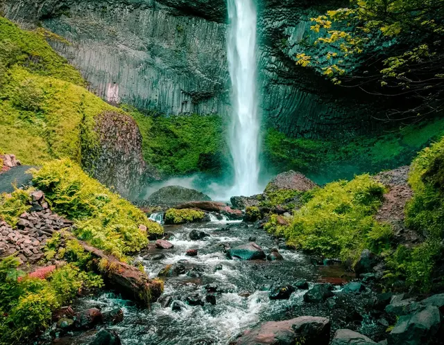 告诉你个秘密：过了50岁，关好四扇门，不然家里鸡犬不宁