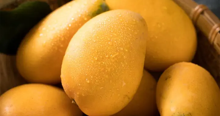 芒果已经上市！医生研究发现：肺癌患者吃芒果时，多注意这7点