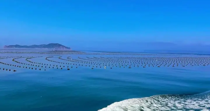 掘金深蓝！烟台海工装备“硬核”出击，打造海洋经济最强增长极