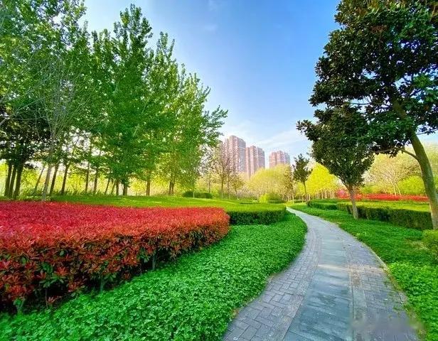 要想活的舒心，记住几个“没必要”