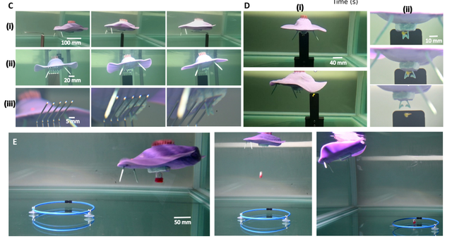 ​ScienceRobotics发表新加坡科技设计大学研发iFL3DP技术。