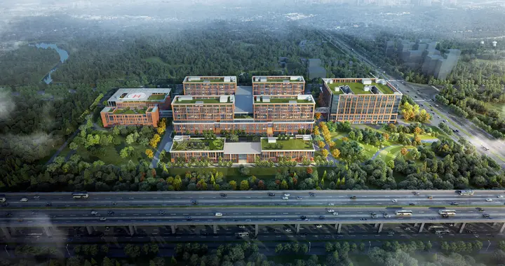 科普｜脚趾麻木究竟是糖尿病，还是腰椎病变？