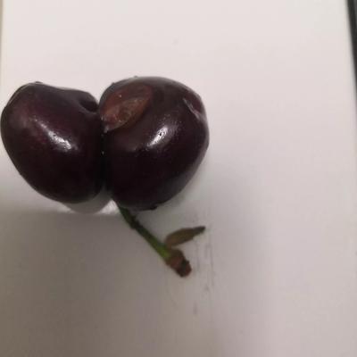 闲淡恬适：又是樱桃上市的时节，吃了这么多